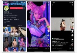 全网最新网红爆料视频播放,揭秘背后真相