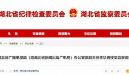湖北爆料最新新闻消息,聚焦突发事件追踪与影响