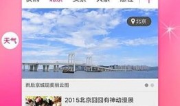 菲宝最新爆料新闻,最新爆料新闻背后的惊人真相